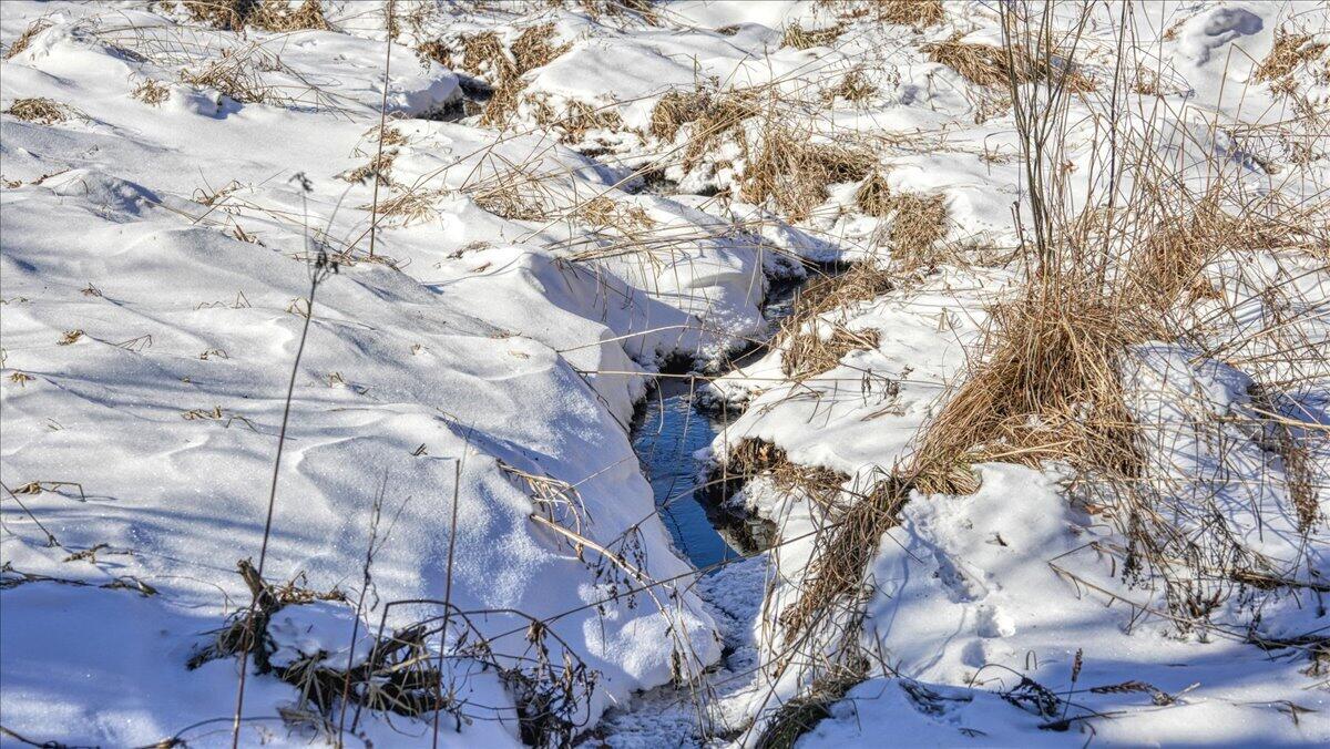 0 Grapevine Avenue Tomah, WI 54660 - Photo 11 of 29 11-MLS