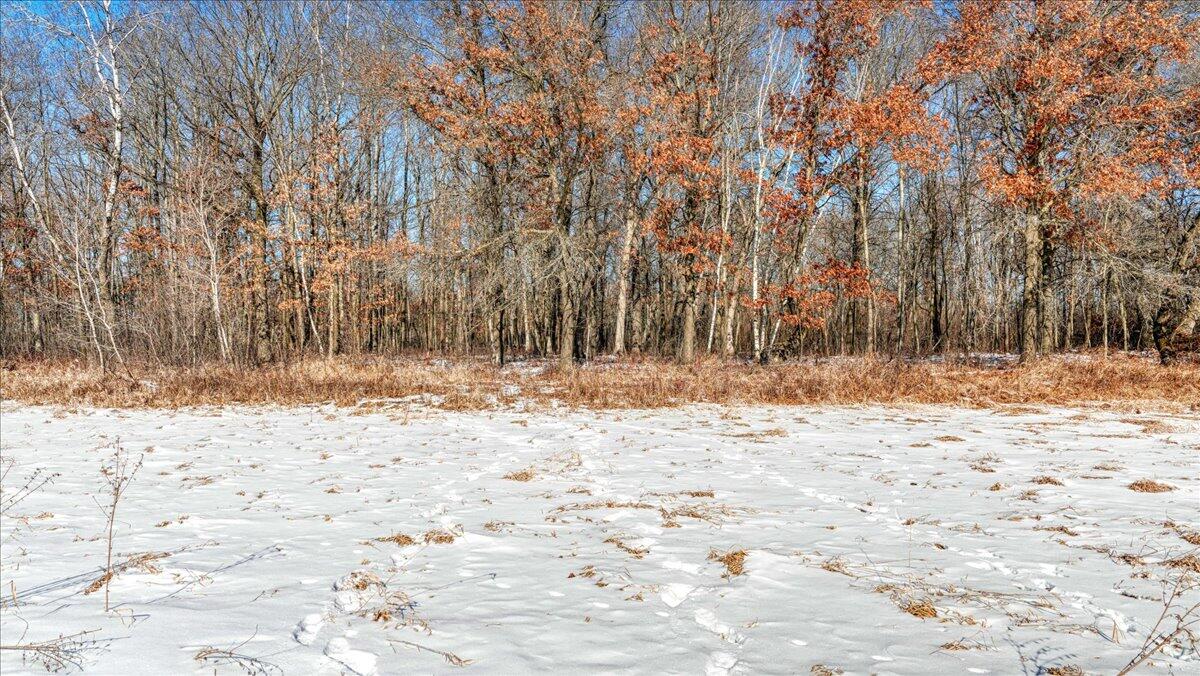 0 Grapevine Avenue Tomah, WI 54660 - Photo 13 of 29 13-MLS