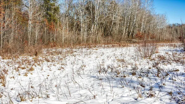 $374,900 | 0 Grapevine Avenue, Tomah, WI 54660