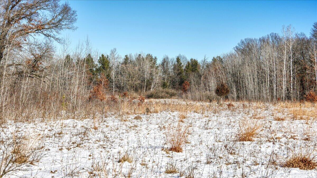 0 Grapevine Avenue Tomah, WI 54660 - Photo 15 of 29 15-MLS