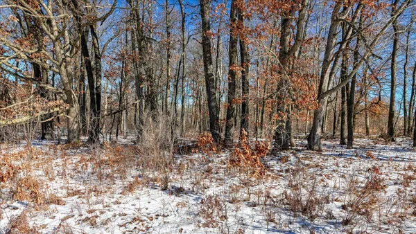 $374,900 | 0 Grapevine Avenue, Tomah, WI 54660