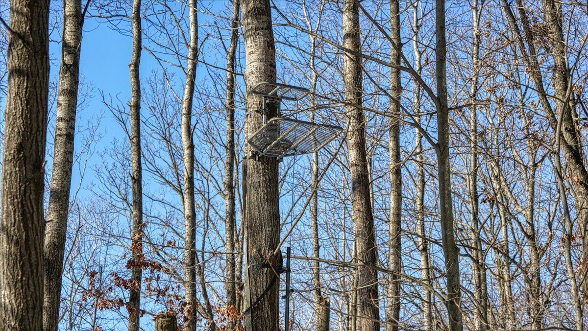 0 Grapevine Avenue Tomah, WI 54660 - Photo 21 of 29 21-MLS