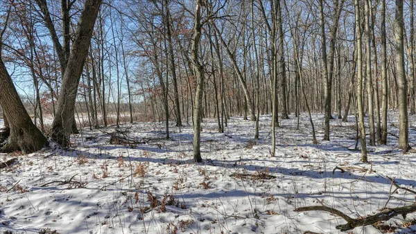 $374,900 | 0 Grapevine Avenue, Tomah, WI 54660