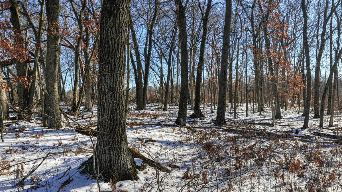 0 Grapevine Avenue Tomah, WI 54660 - Photo 23 of 29 23-MLS