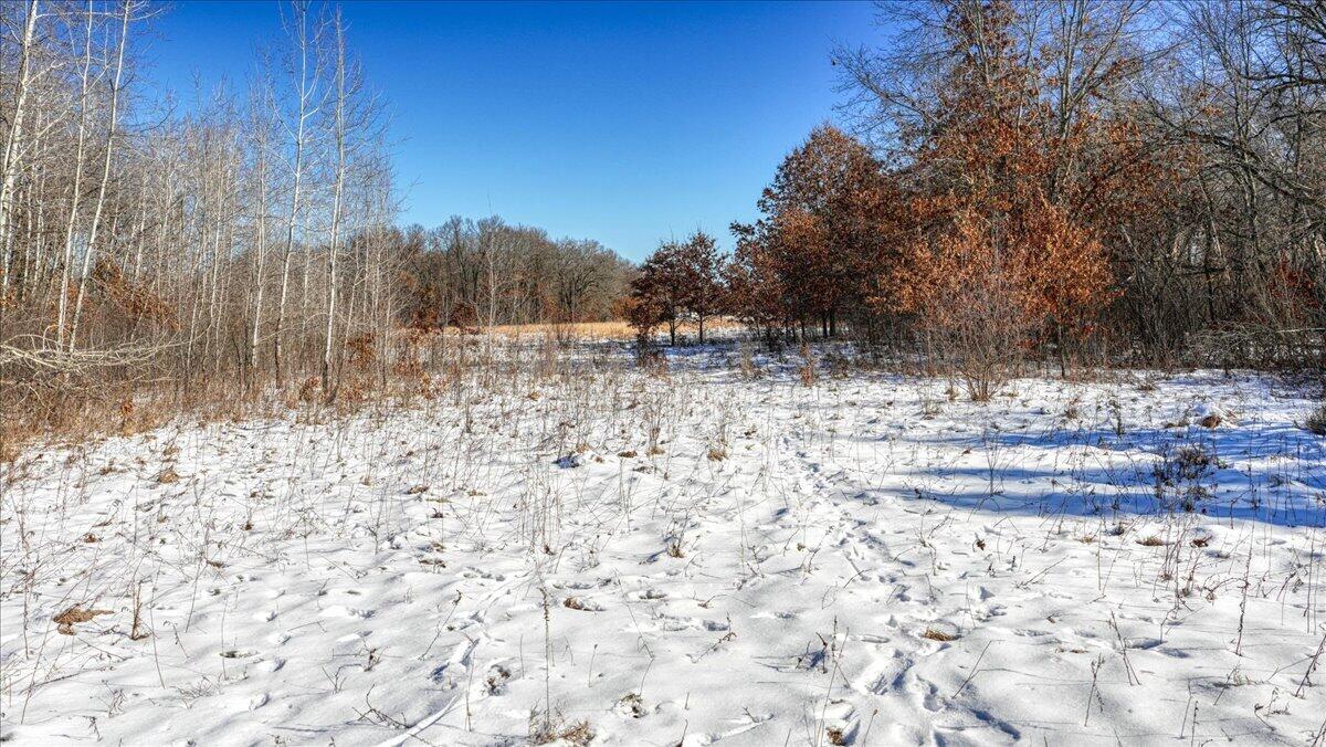 0 Grapevine Avenue Tomah, WI 54660 - Photo 4 of 29 04-MLS