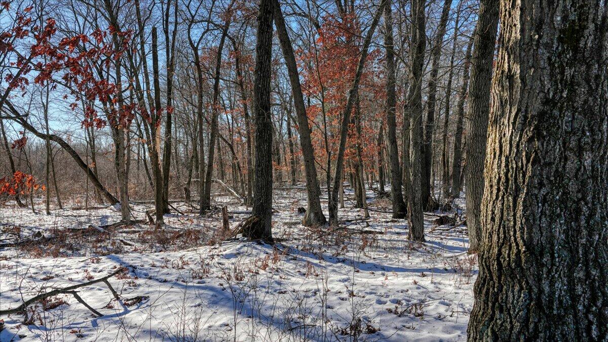 0 Grapevine Avenue Tomah, WI 54660 - Photo 7 of 29 07-MLS