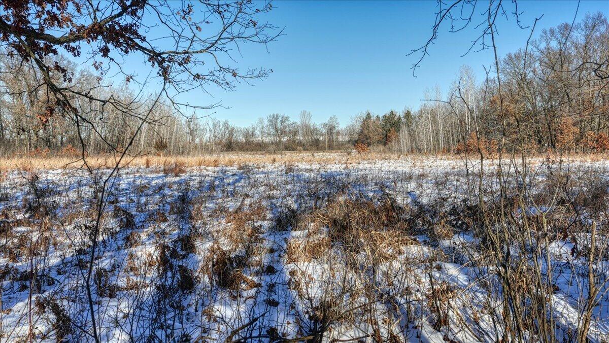 0 Grapevine Avenue Tomah, WI 54660 - Photo 8 of 29 08-MLS