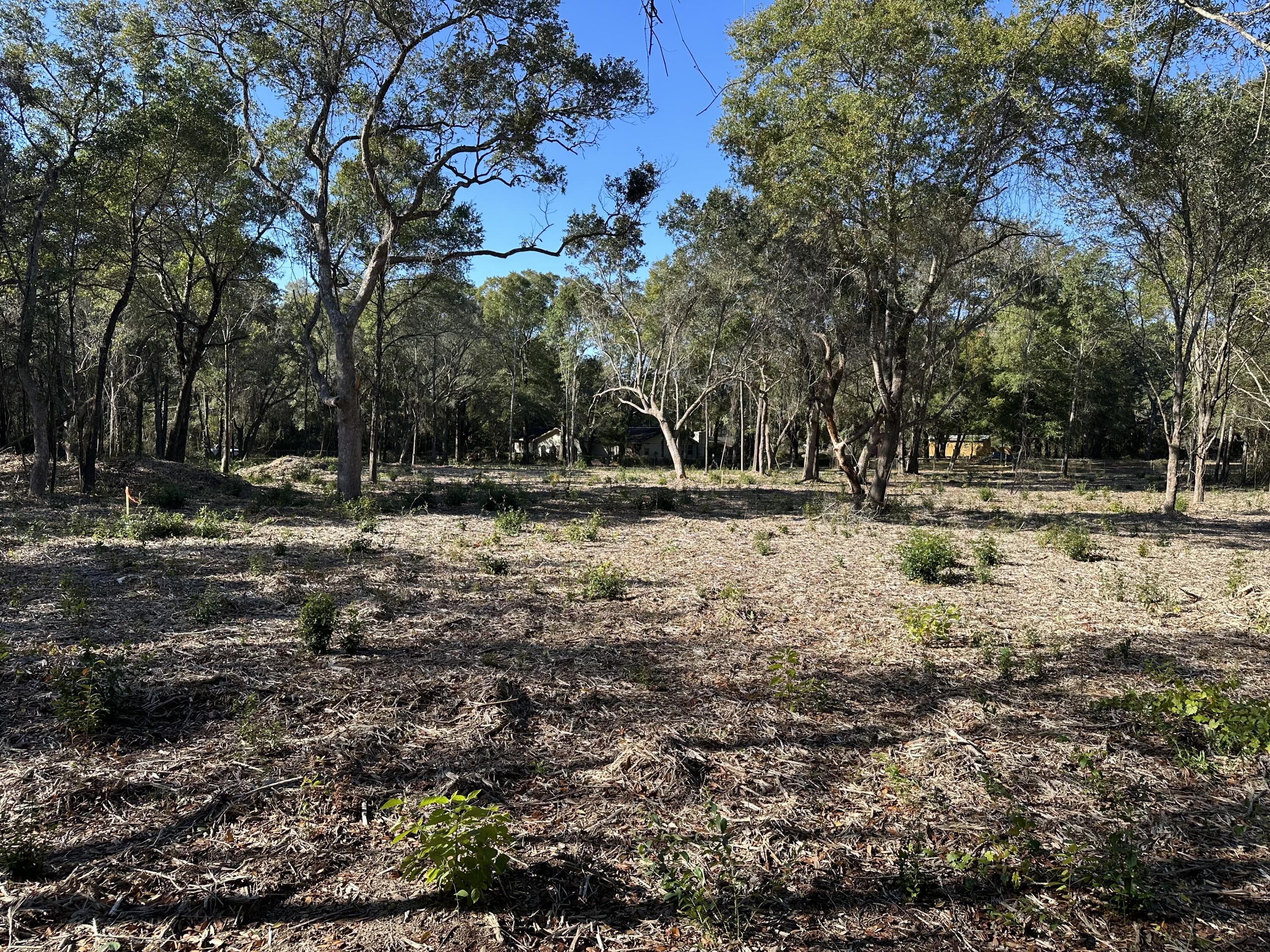 Xxx Black Oak Road Milton, FL 32583 - Photo 11 of 13 a view of outdoor space with trees
