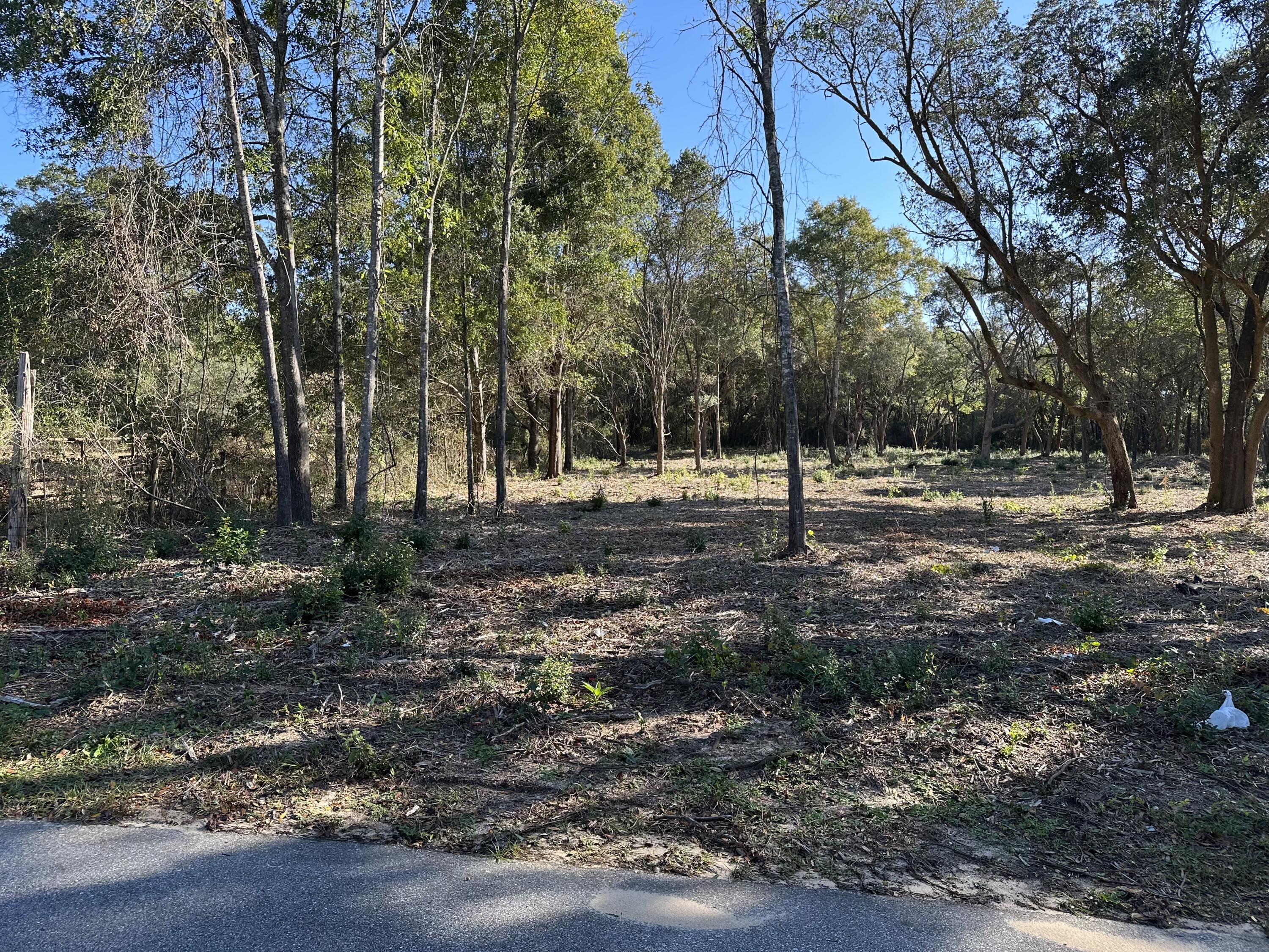Xxx Black Oak Road Milton, FL 32583 - Photo 12 of 13 a view of outdoor space with green space