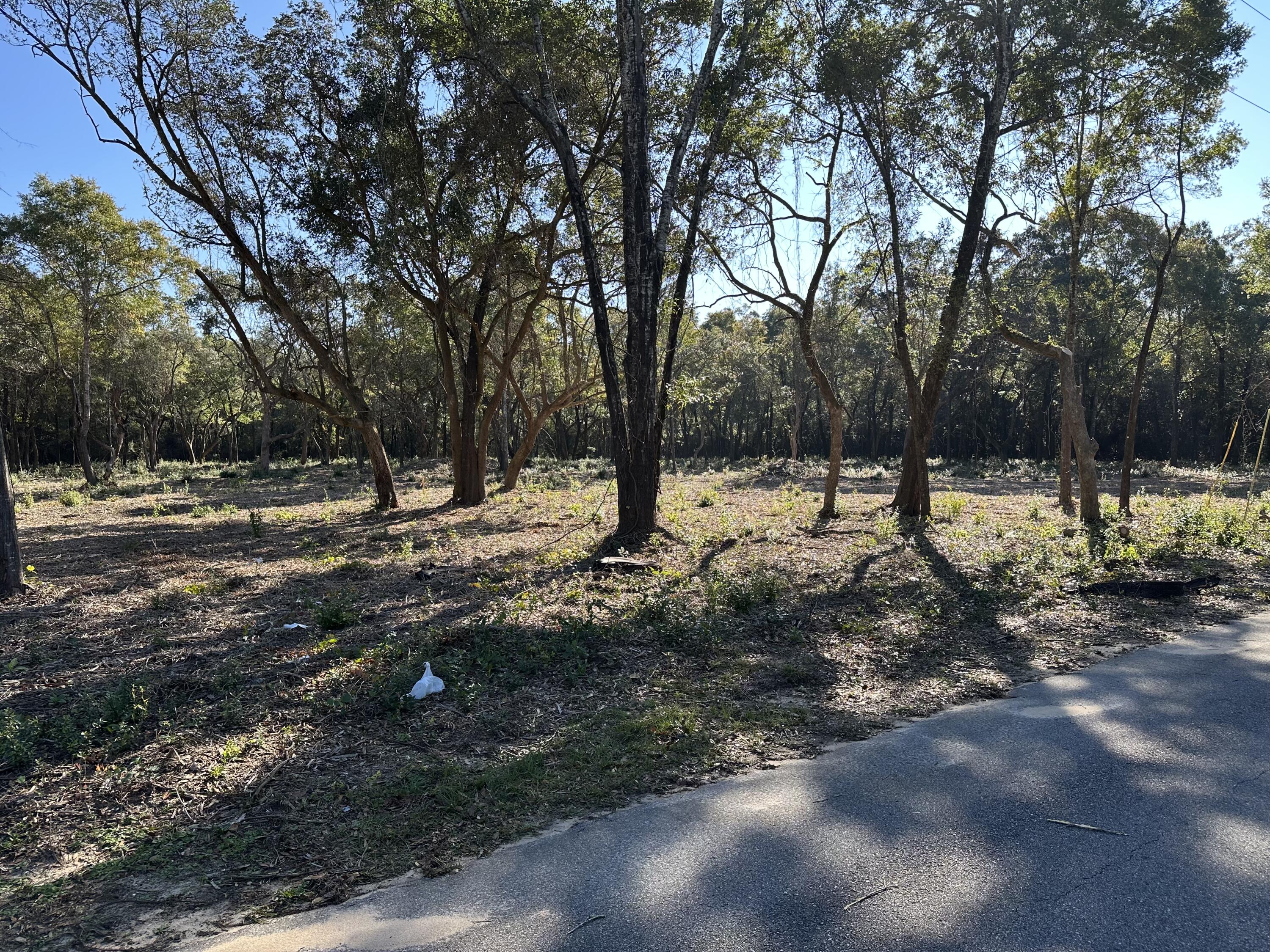 Xxx Black Oak Road Milton, FL 32583 - Photo 13 of 13 a view of road with trees