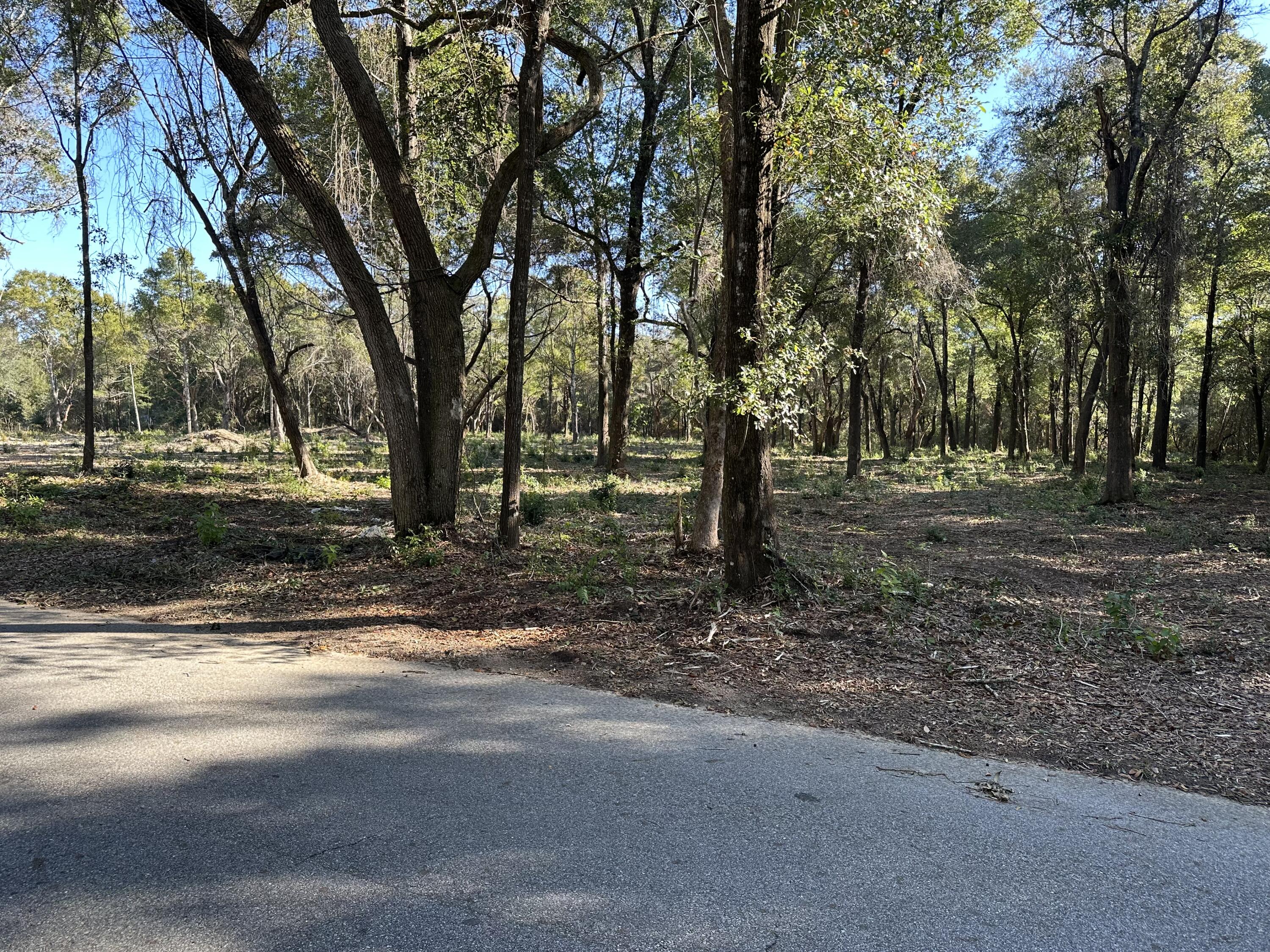 Xxx Black Oak Road Milton, FL 32583 - Photo 2 of 13 a backyard of a house with lots of green space