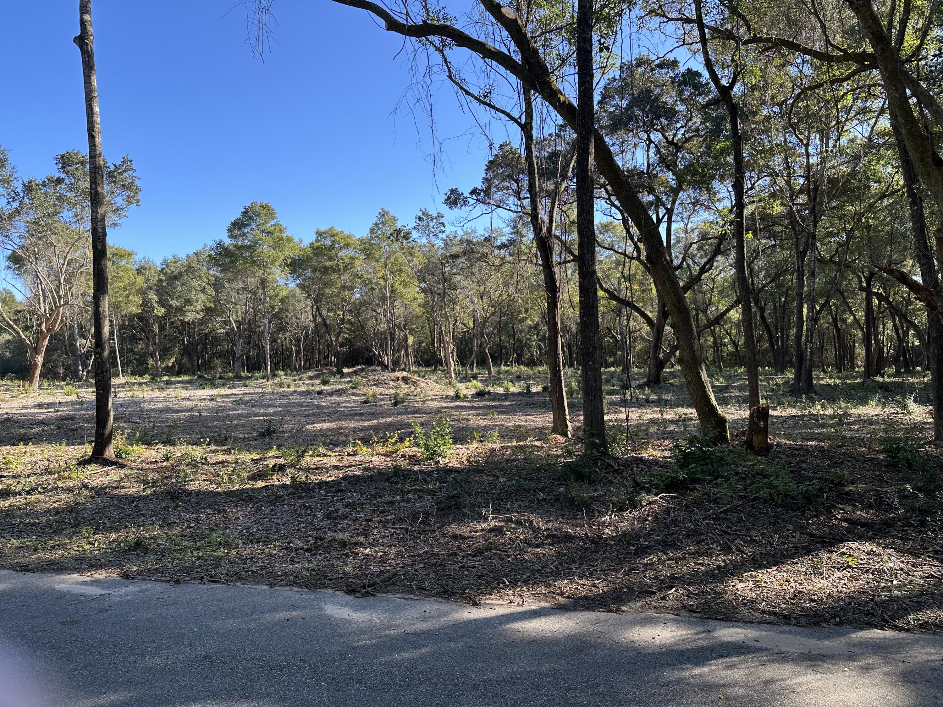 Xxx Black Oak Road Milton, FL 32583 - Photo 9 of 13 a view of dirt road with a building