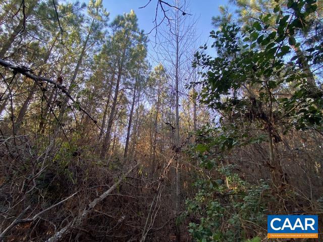 1390 Waltons Store Road, Unit I Louisa, VA 23093 - Photo 2 of 5