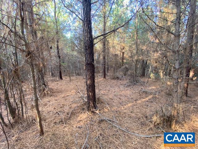 1390 Waltons Store Road, Unit I Louisa, VA 23093 - Photo 3 of 5