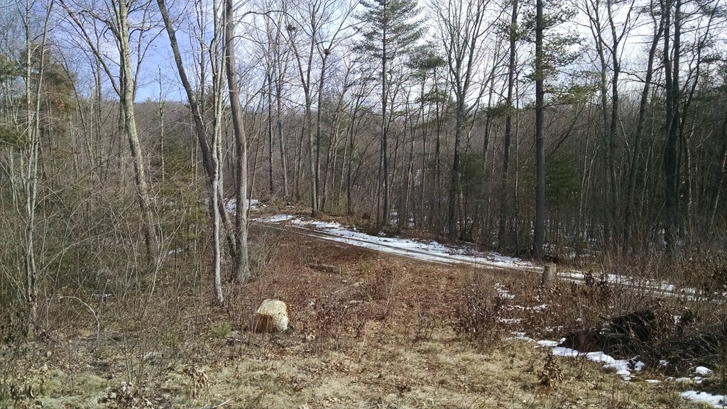 Lot 10-9r Baker Pond Road Charlton, MA 01507 - Photo 2 of 3 Gallery Image 2