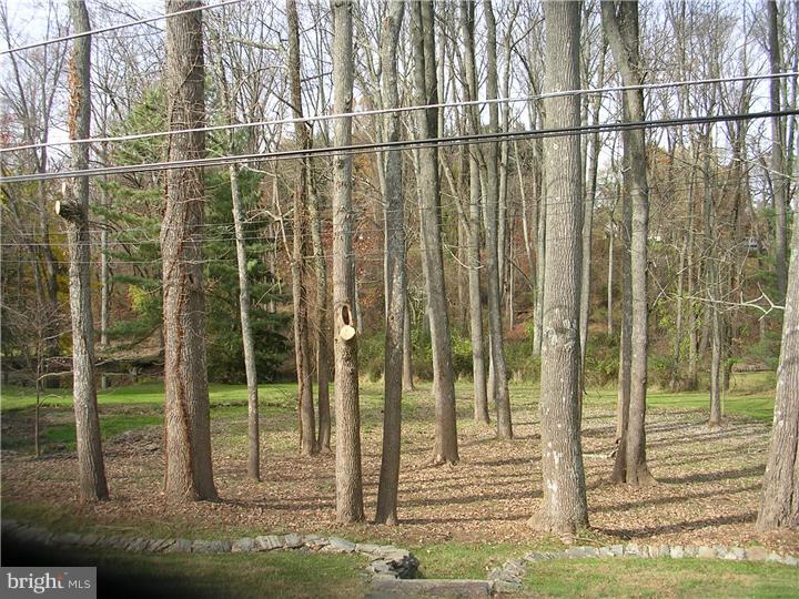 142 Beechwood Road Newtown Square, PA 19073 - Photo 7 of 9 Back Yard