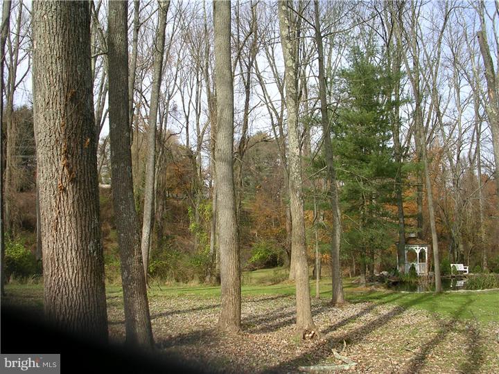 142 Beechwood Road Newtown Square, PA 19073 - Photo 8 of 9 Back Yard