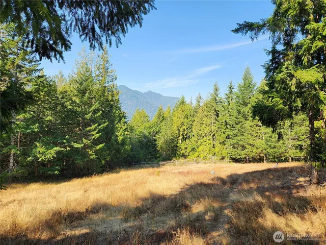 a view of a yard with a tree
