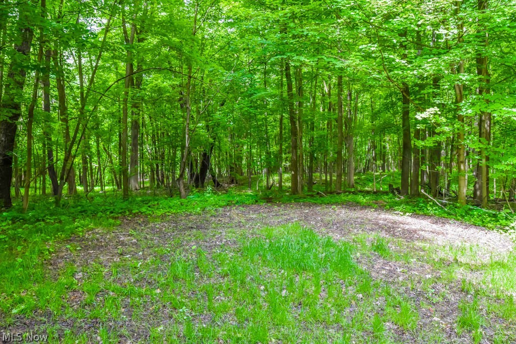 9410 Leroy Road Seville, OH 44273 - Photo 21 of 25 On 16 acres!