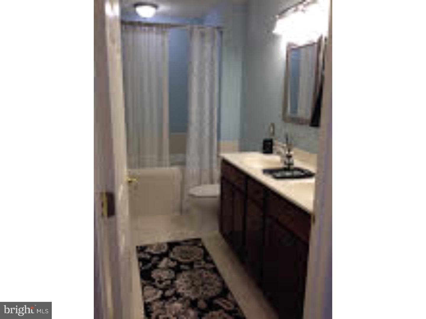 212 Flagstone Road, Unit 3 Chester Springs, PA 19425 - Photo 14 of 25 Master Bathroom