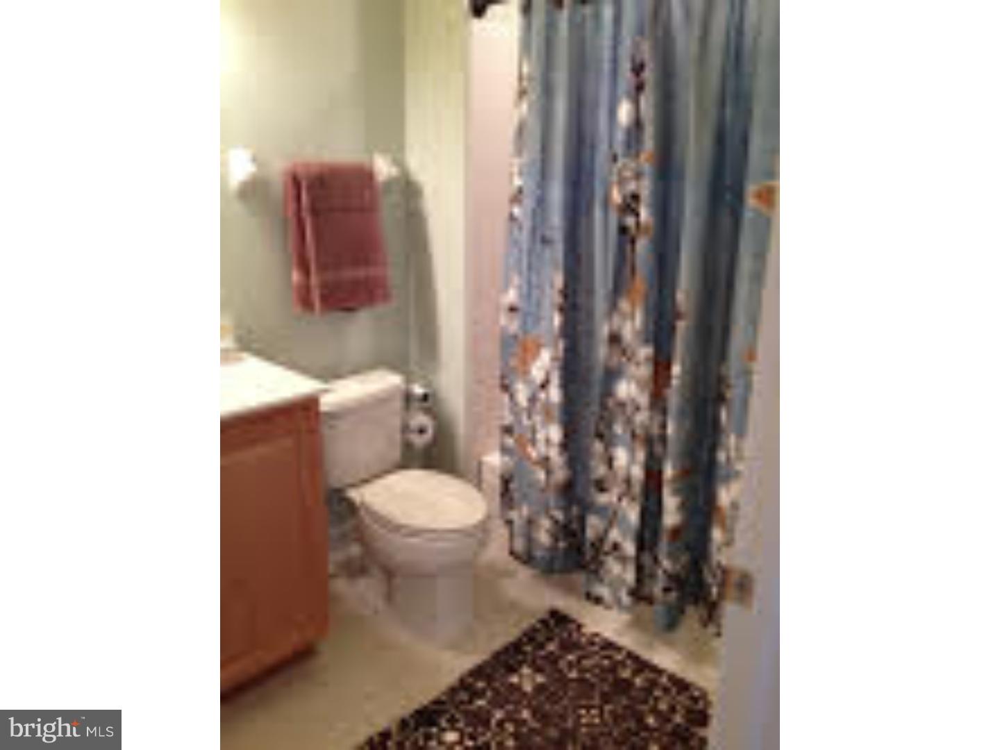 212 Flagstone Road, Unit 3 Chester Springs, PA 19425 - Photo 19 of 25 Bathroom