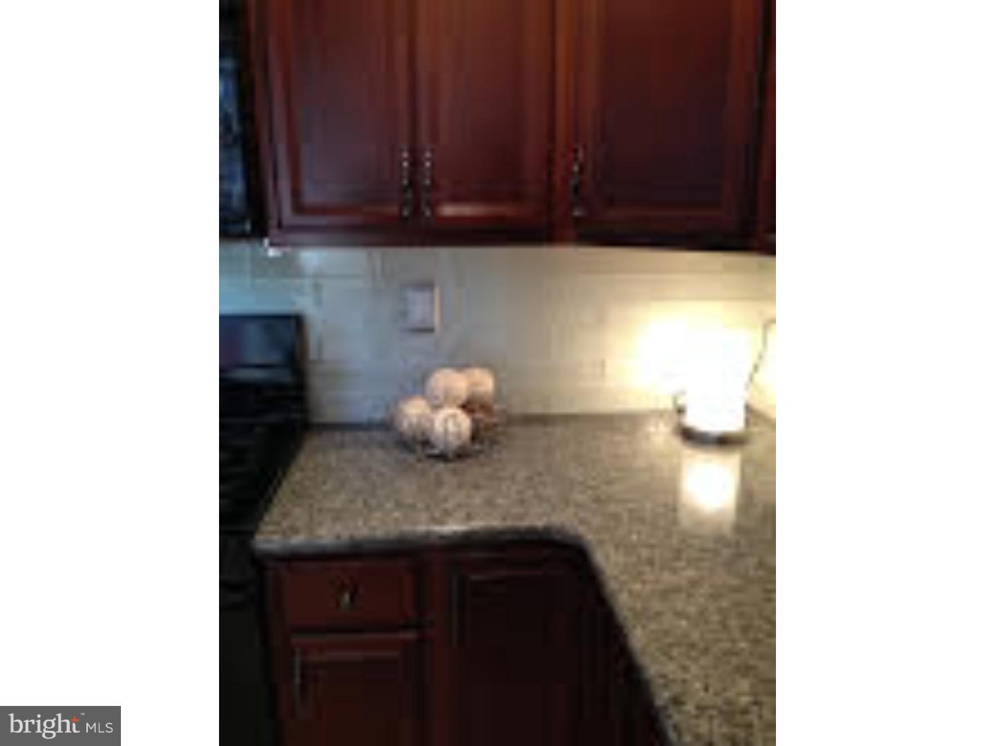 212 Flagstone Road, Unit 3 Chester Springs, PA 19425 - Photo 9 of 25 Kitchen