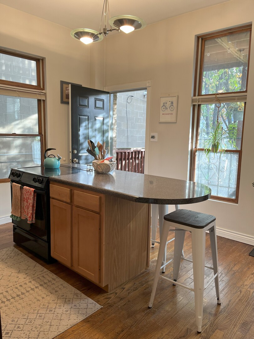 Undisclosed Address Chicago, IL 60622 - Photo 12 of 17 a kitchen with a sink cabinets and window