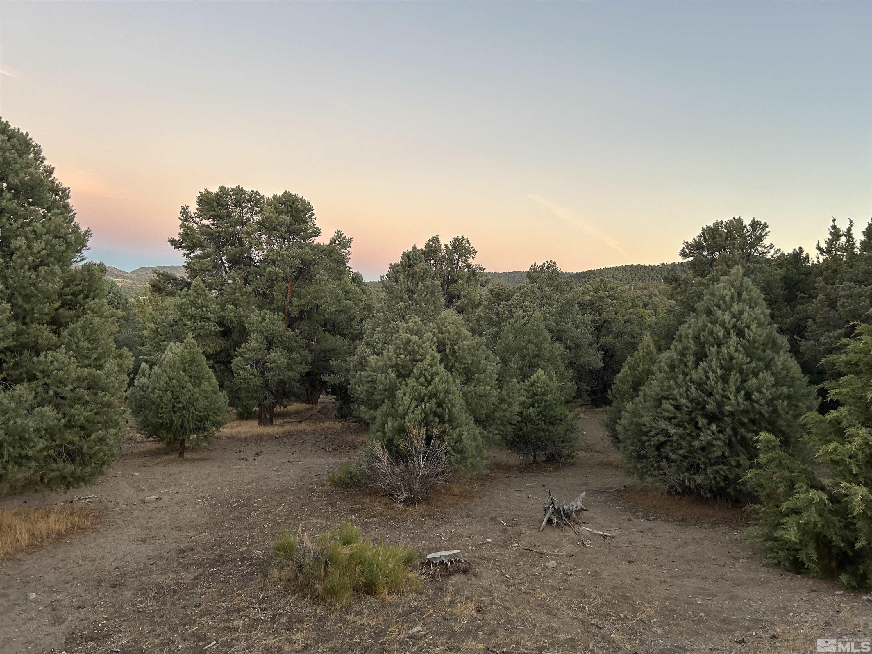 21521 Delta Drive Reno, NV 89521 - Photo 4 of 4 a view of a covered with trees in the background