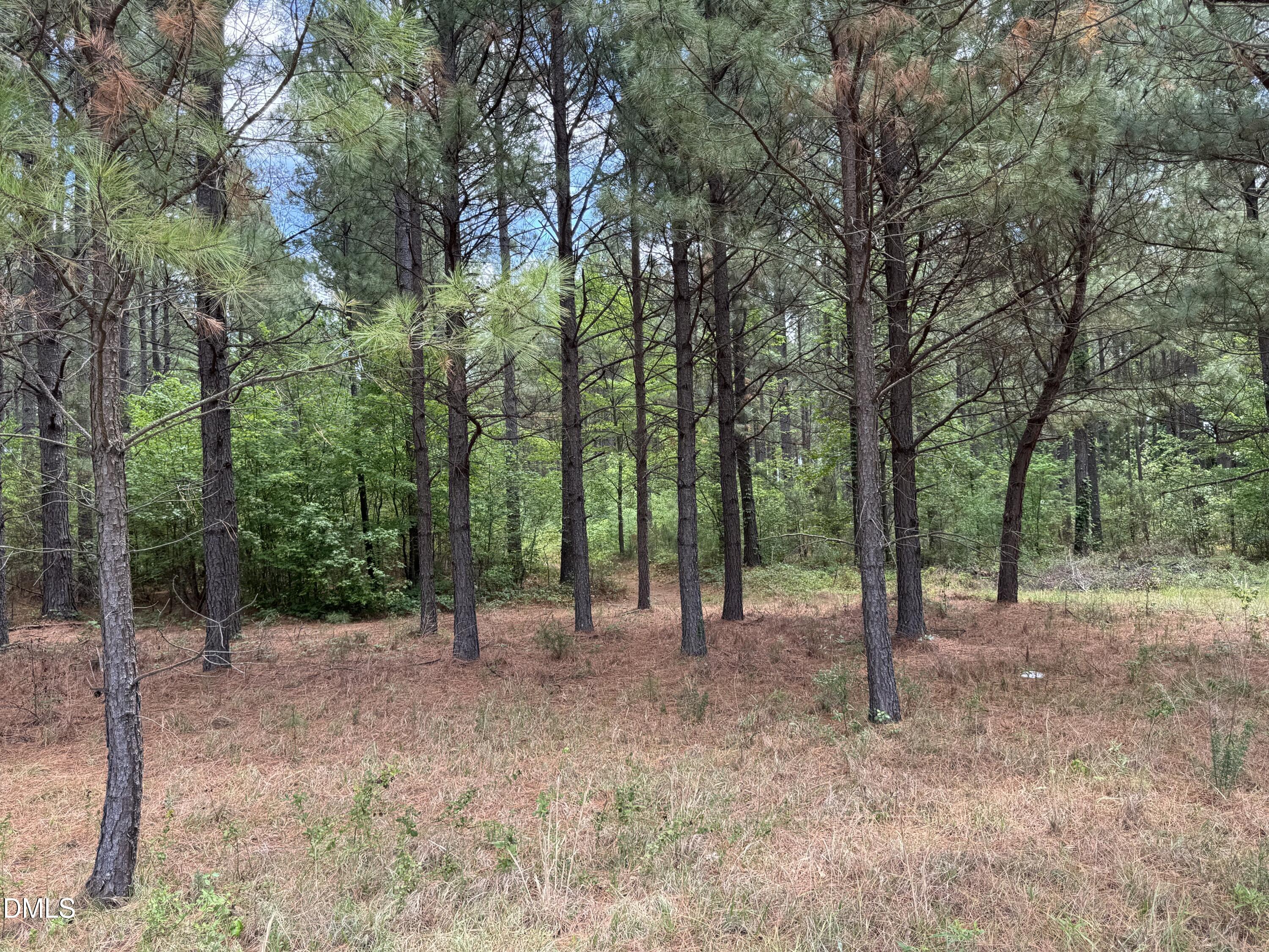 1287 Sherron Road Durham, NC 27703 - Photo 9 of 21