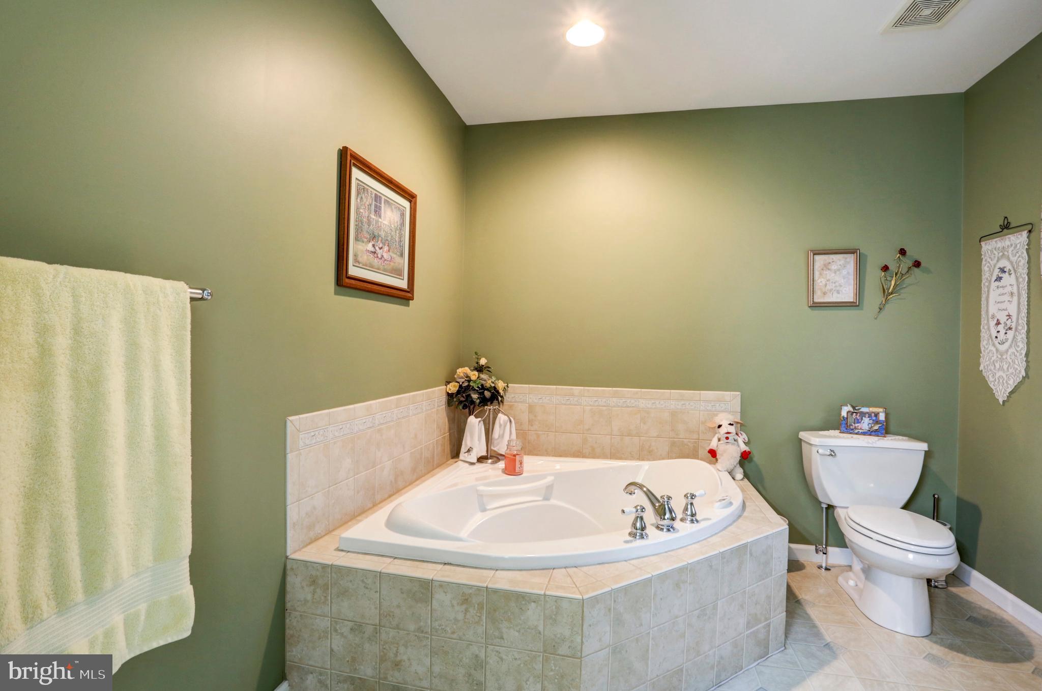 807 Disston View Drive Lititz, PA 17543 - Photo 22 of 44 Master Bathroom