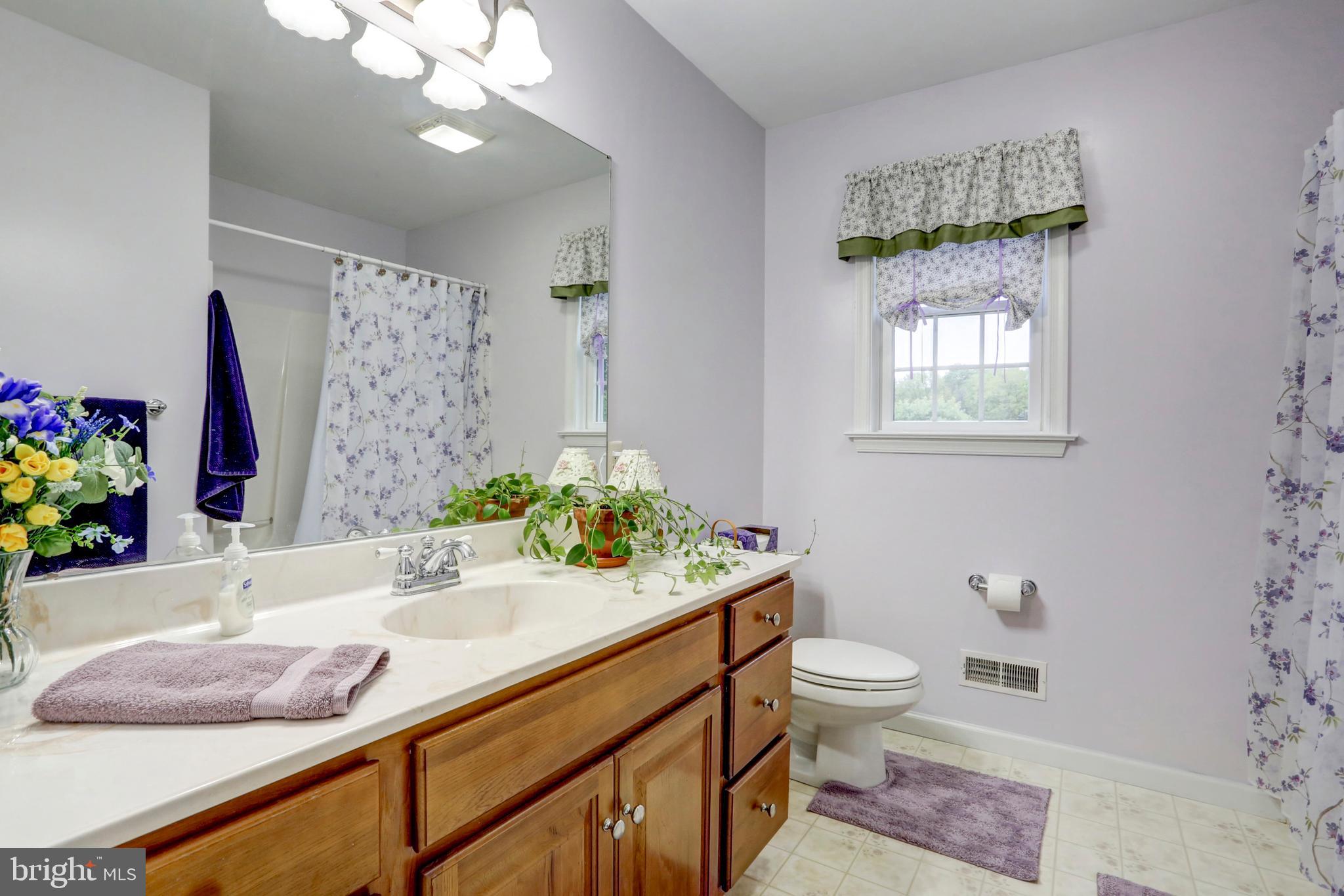 807 Disston View Drive Lititz, PA 17543 - Photo 32 of 44 Bathroom