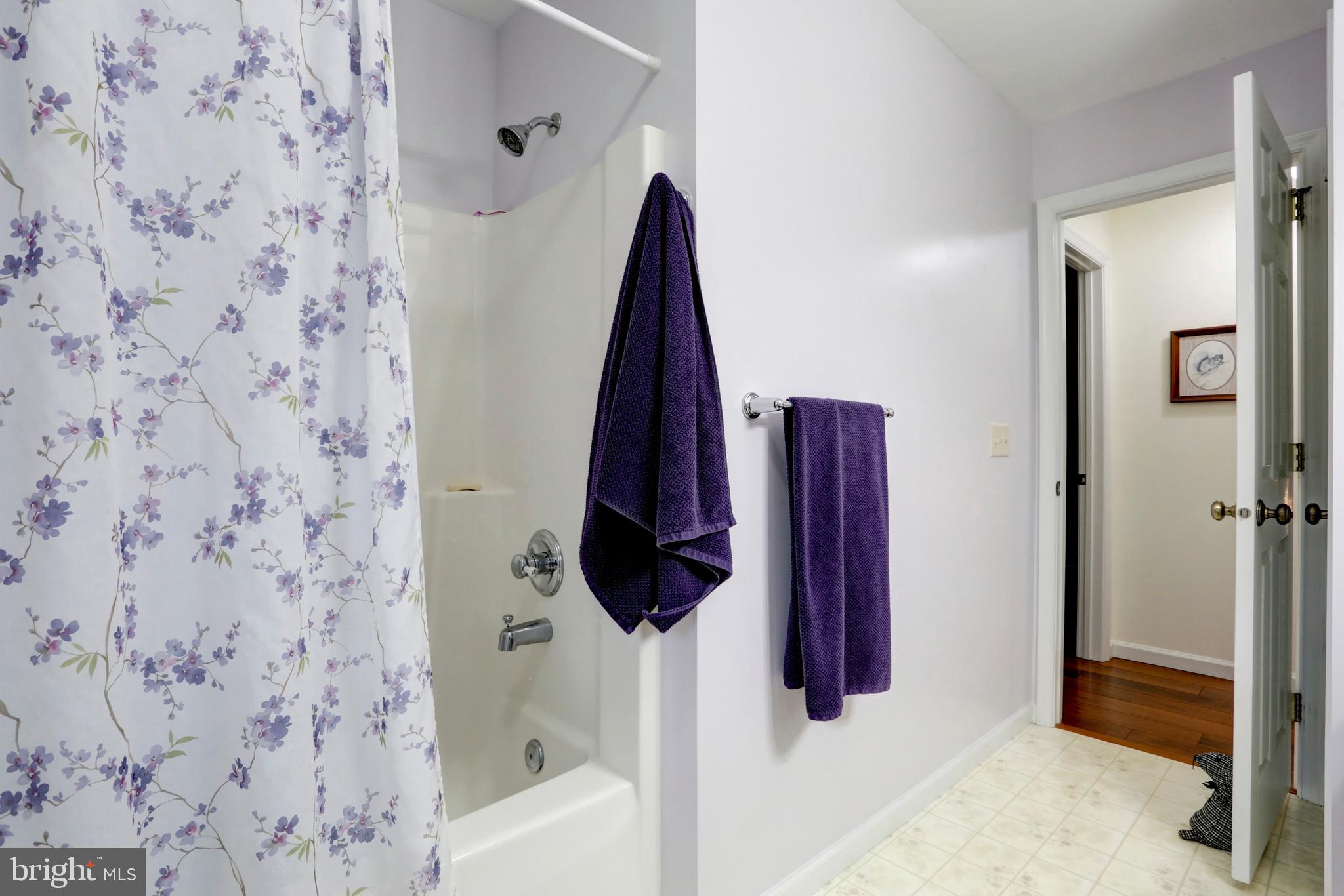 807 Disston View Drive Lititz, PA 17543 - Photo 33 of 44 Bathroom