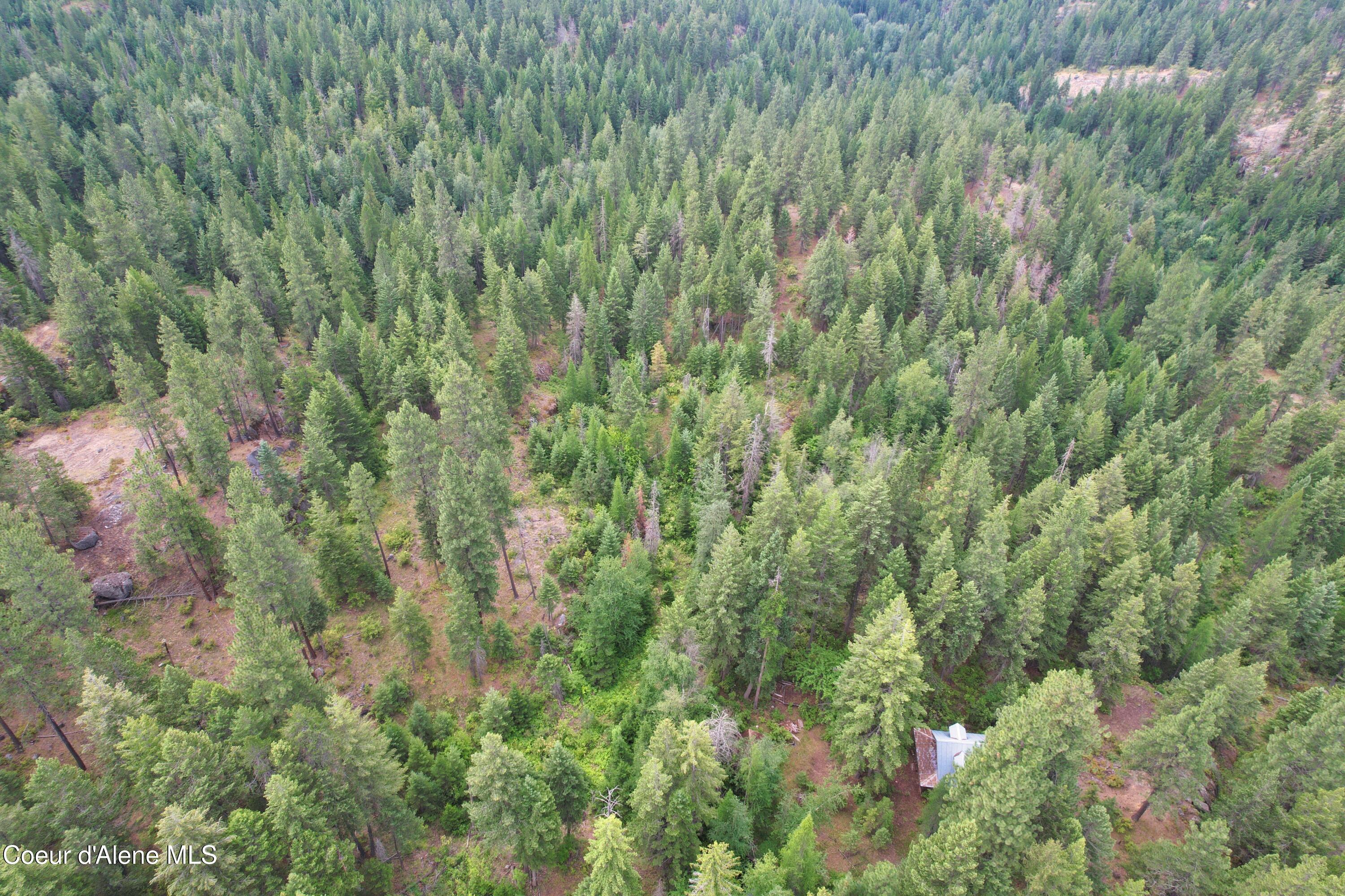 1754 Giles Connection Road Bonners Ferry, ID 83805 - Photo 4 of 26 DJI_0180