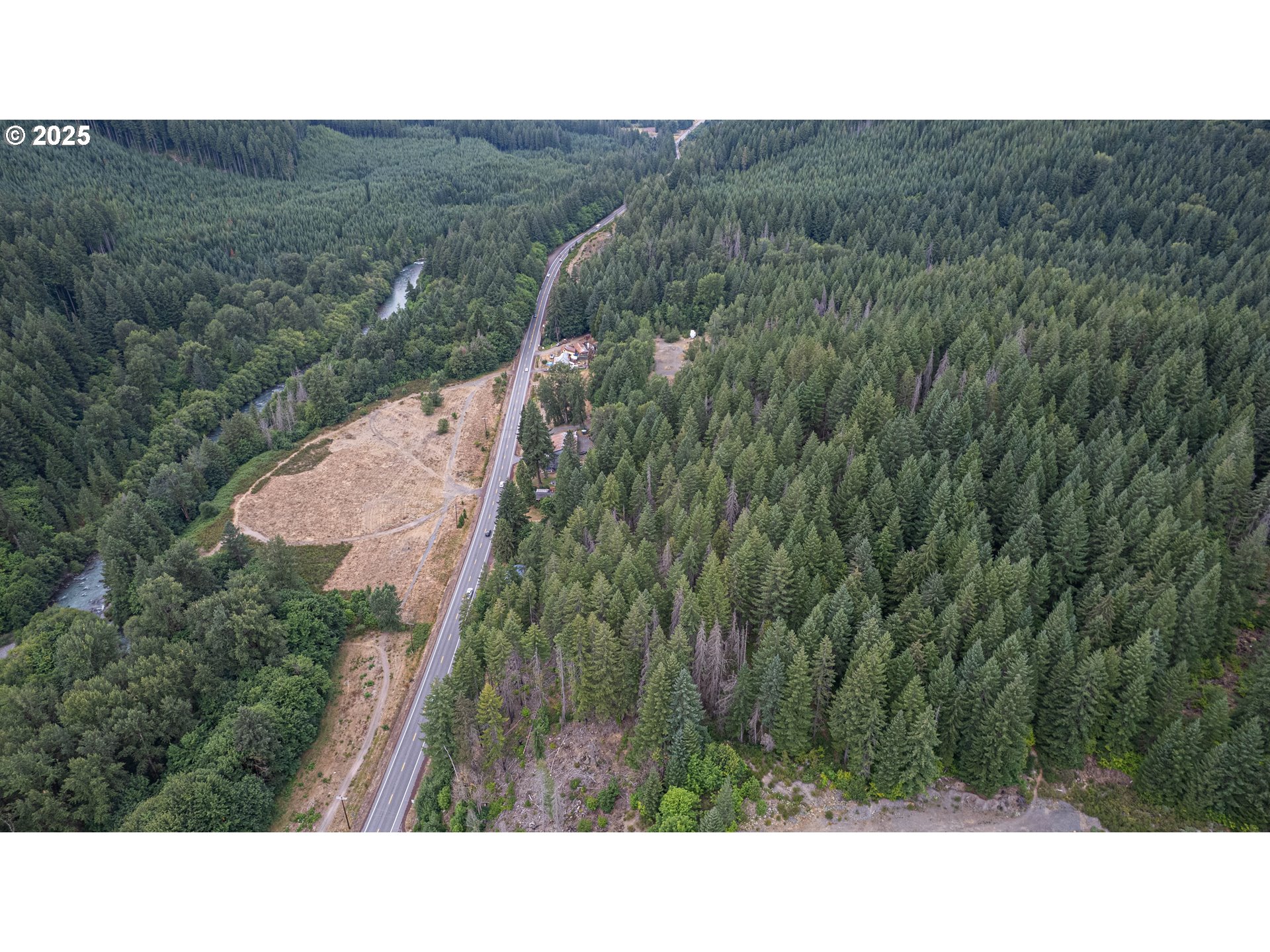 22 Hwy Idanha Or 97350 Idanha, OR 97350 - Photo 16 of 23 a black and white photo of a forest