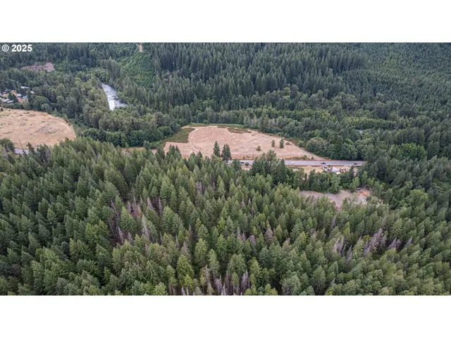 a view of a lush green hillside and a mountain