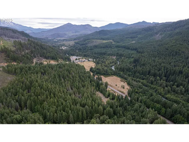 a black and white photo of a house