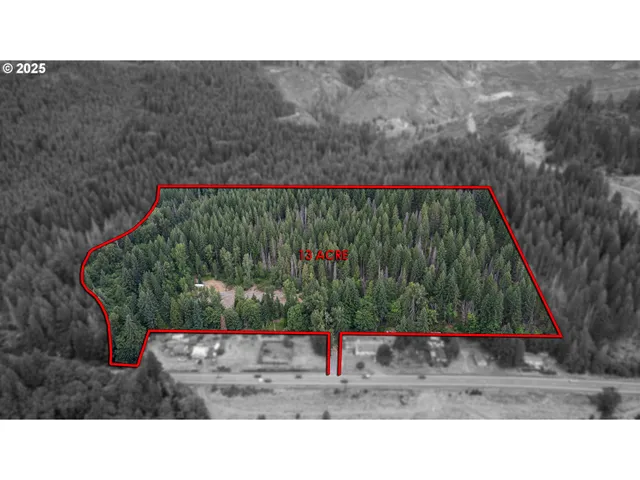 a black and white photo of a park