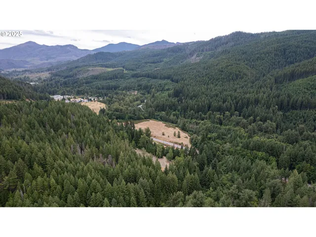 a upper view of mountain and yard