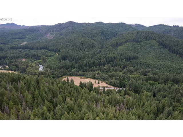 a black and white photo of a house