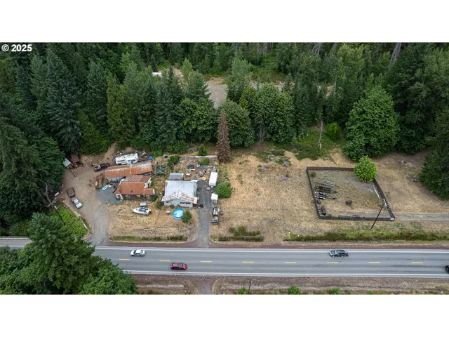 a black and white photo of a garden