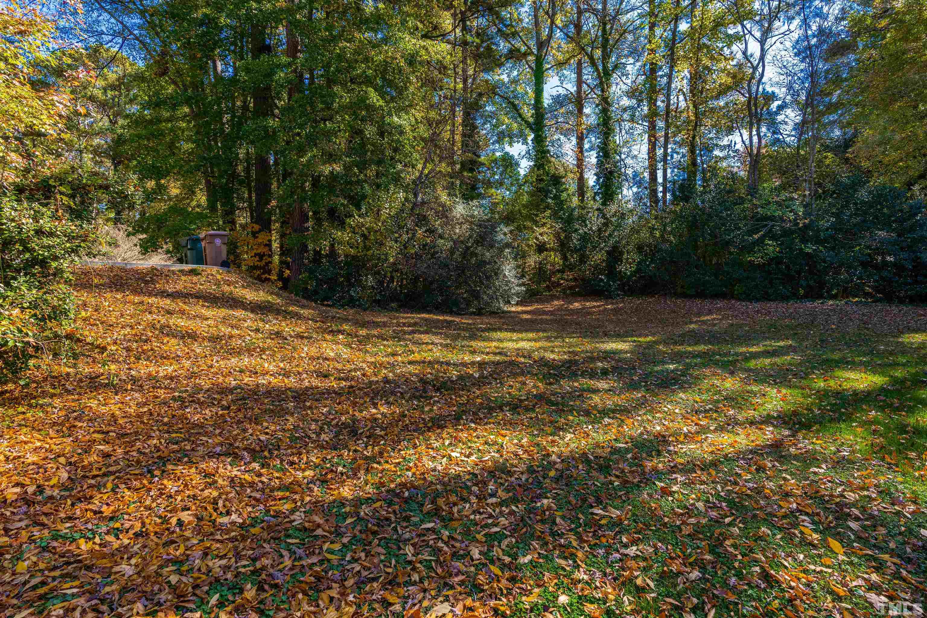 103 Marilyn Circle Cary, NC 27513 - Photo 56 of 64 a view of a yard with a tree