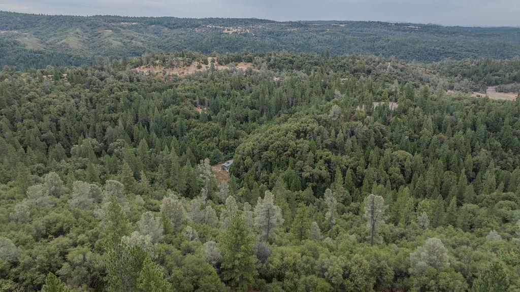 18101 Old River Road Fiddletown, CA 95629 - Photo 31 of 53 Gallery Image 31