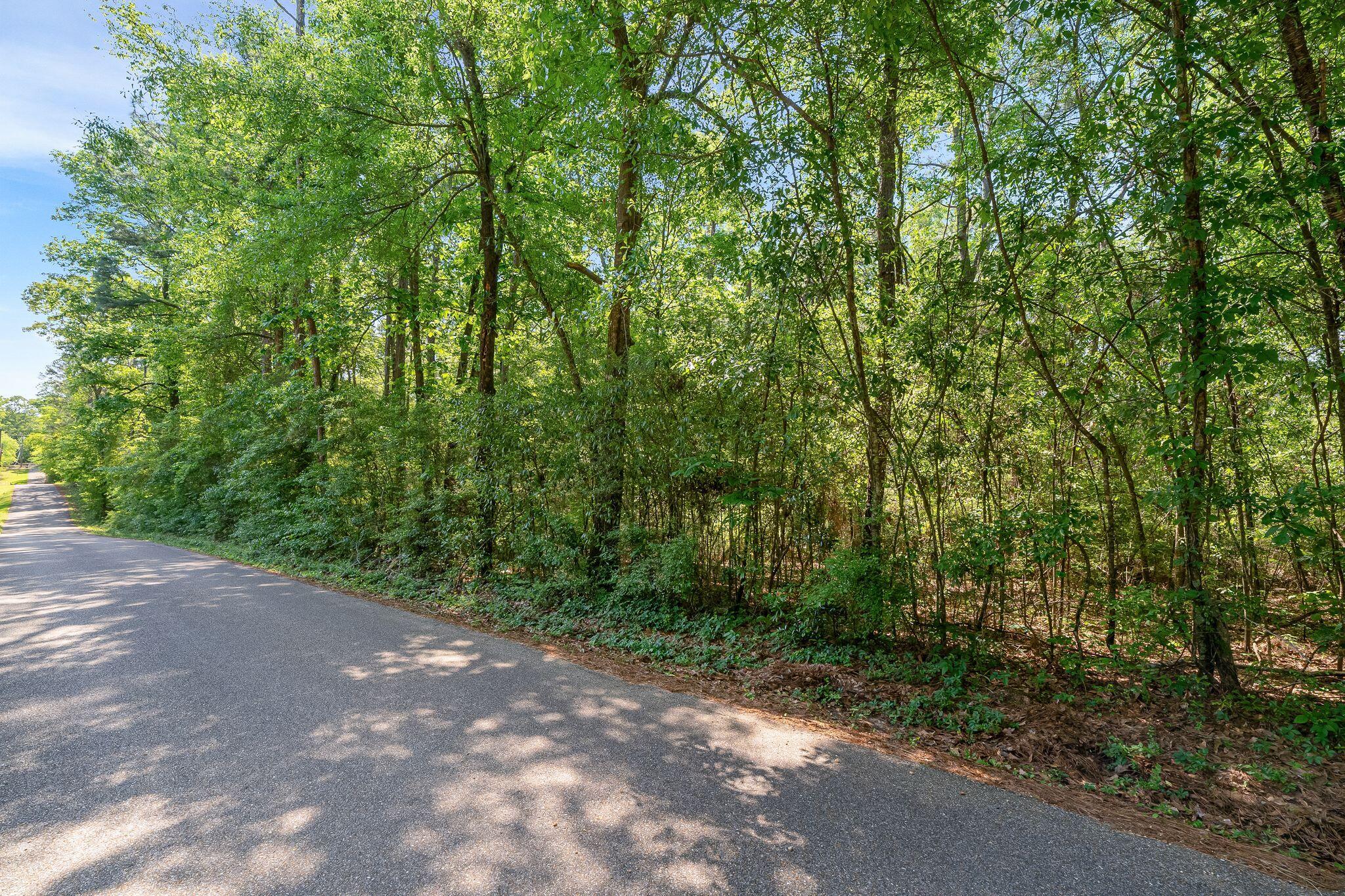 0 Brewer Road Purvis, MS 39475 - Photo 5 of 13 4684_Old_Hwy_11-40