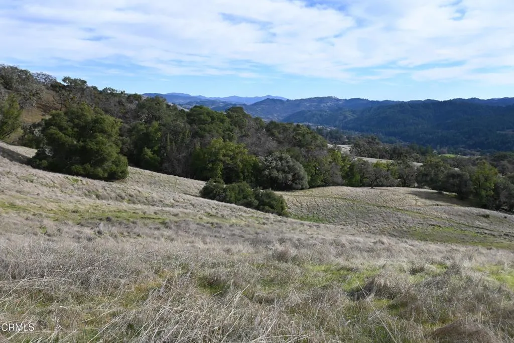 24051 Fig Tree Hopland, CA 95449 - Photo 12 of 19 a view of a dry yard with mountains in the background