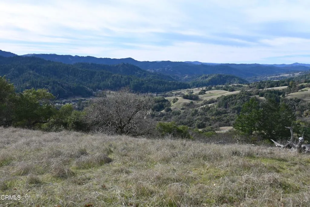 24051 Fig Tree Hopland, CA 95449 - Photo 13 of 19 a view of a dry field with mountains in the background