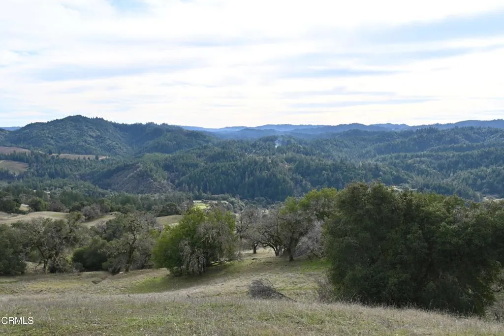 24051 Fig Tree Hopland, CA 95449 - Photo 14 of 19 an aerial view of mountain with trees