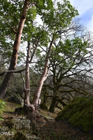 $1,650,000 | 24051 Fig Tree, Hopland, CA 95449