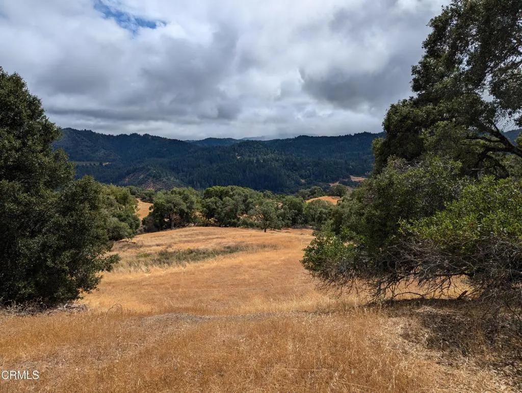 24051 Fig Tree Hopland, CA 95449 - Photo 3 of 19 a view of a yard with wooden fence
