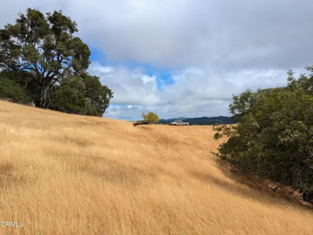 a view of outdoor space and yard