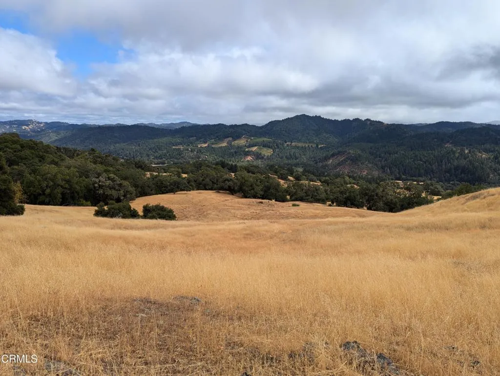 24051 Fig Tree Hopland, CA 95449 - Photo 5 of 19 a view of lake with mountain